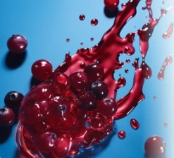Cranberry Extract