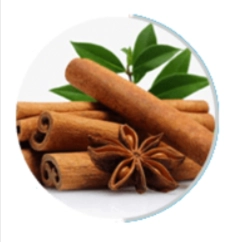 Cinnamomum Cassia