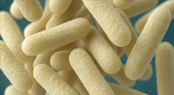 Lactobacillus Reuteri