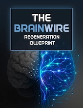 The Brainwire Regeneration Blueprint