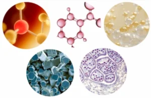 VitaLock-Beauty-Nutrients